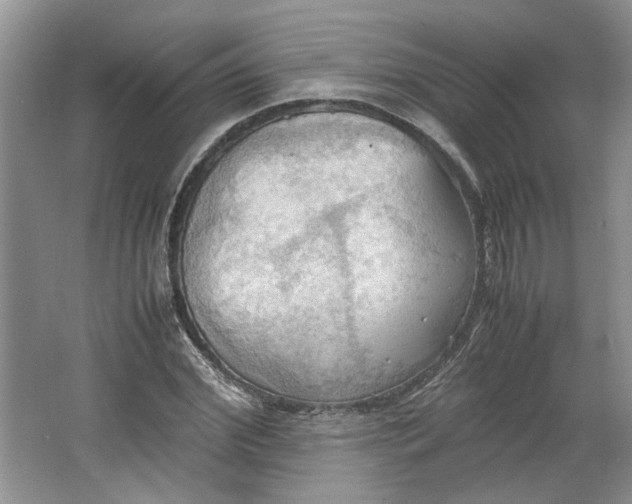 X0000064040972200602101420