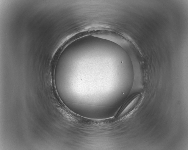 X0000064040973200602101420