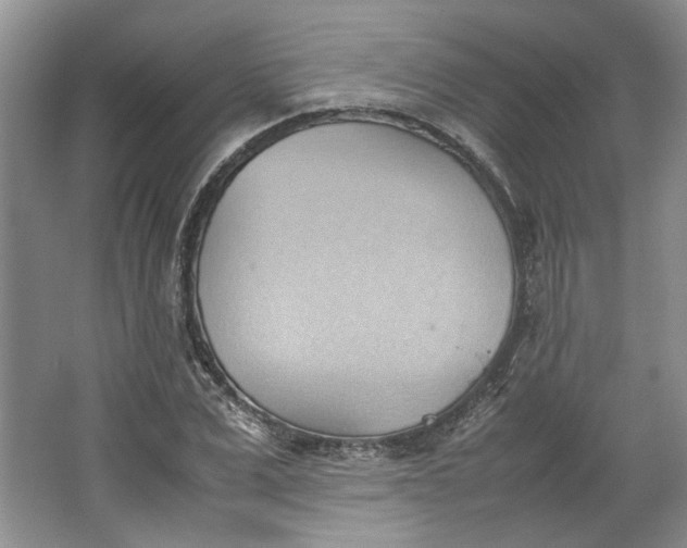 X0000064040975200602101420