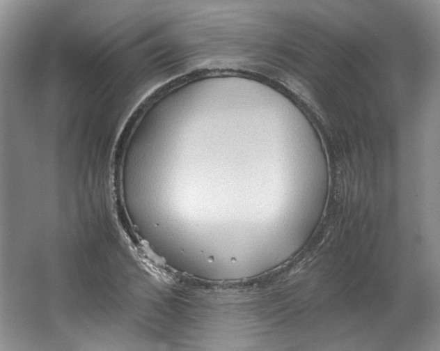 X0000064040976200602101420