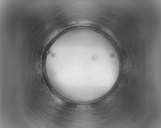 X0000064040978200602101420