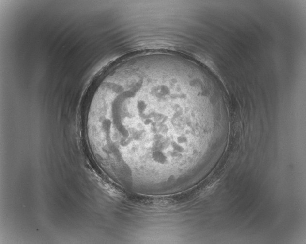 X0000064040979200602101420