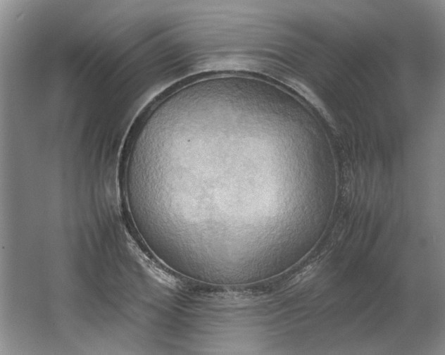 X0000064040980200602101420