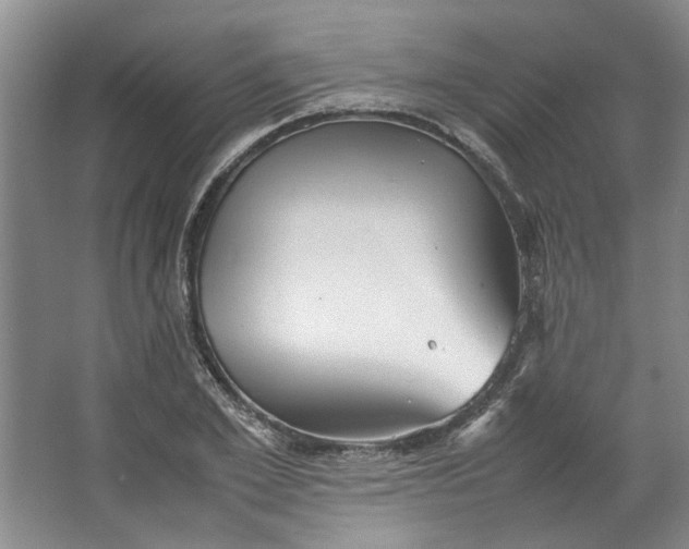 X0000064040981200602101420