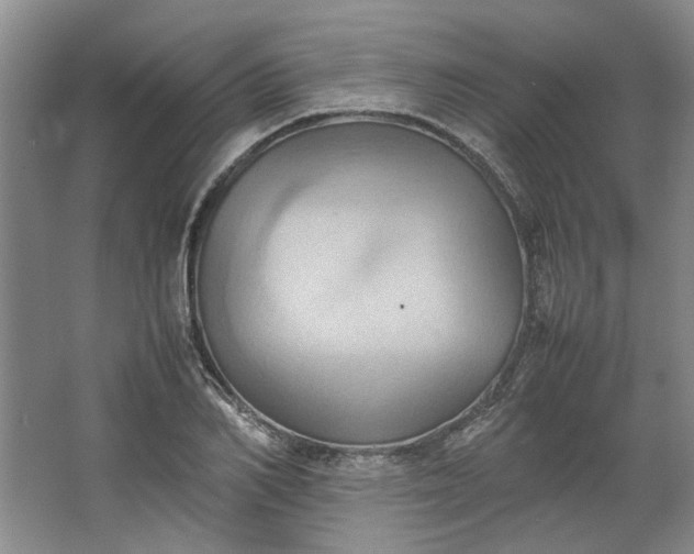 X0000064040982200602101420