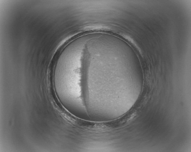 X0000064040983200602101420