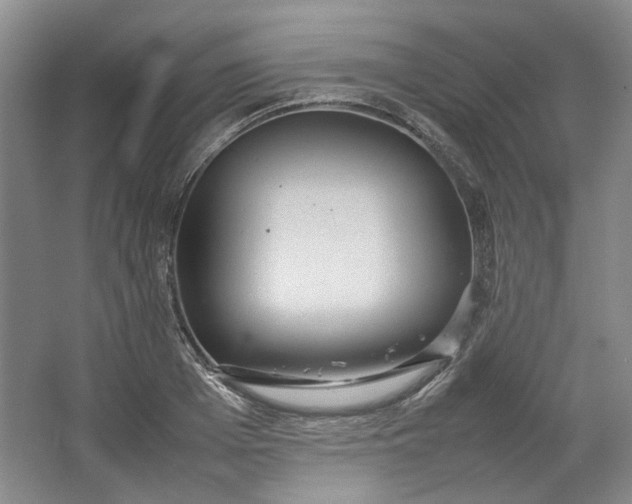 X0000064040985200602101420