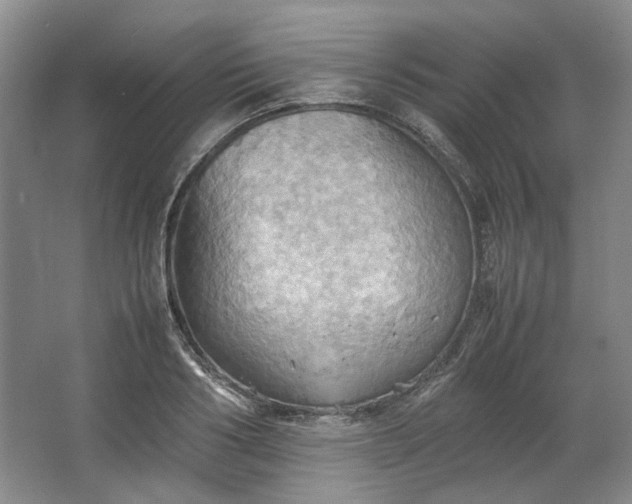 X0000064040986200602101420