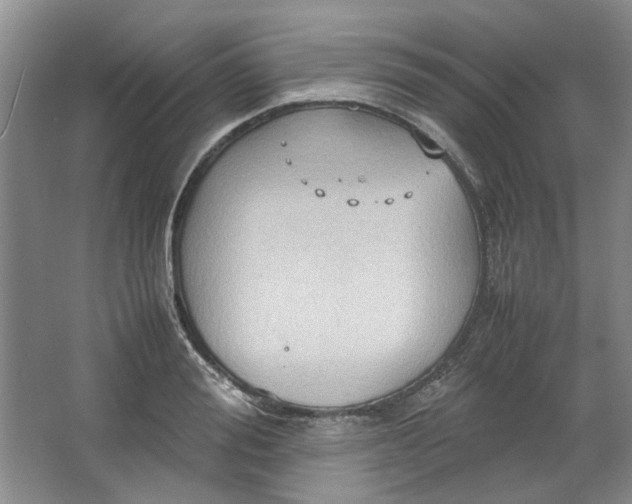 X0000064040988200602101420