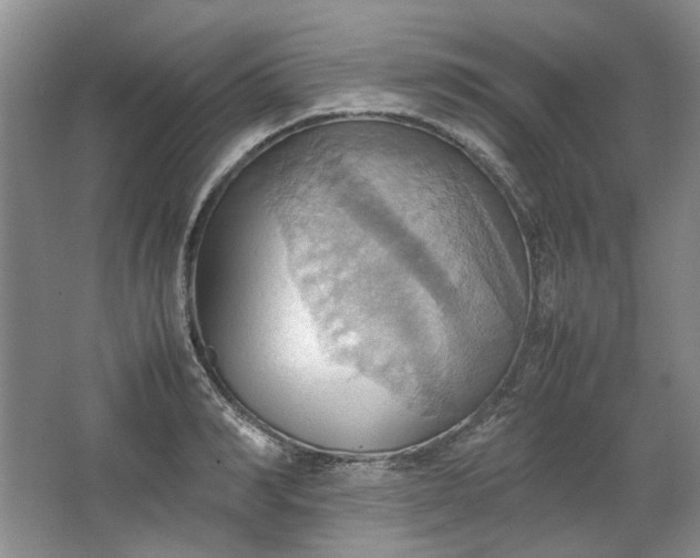 X0000064040990200602101420