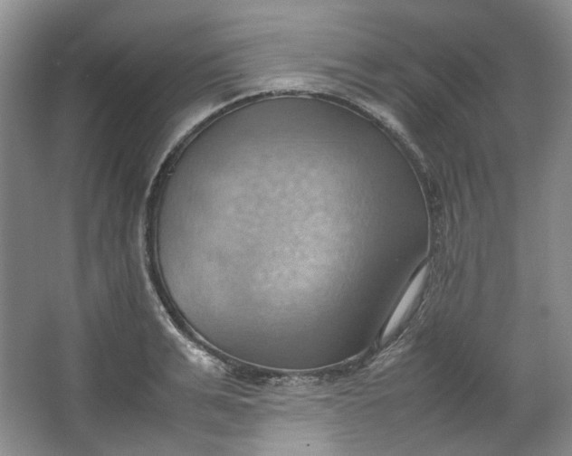 X0000064040991200602101420