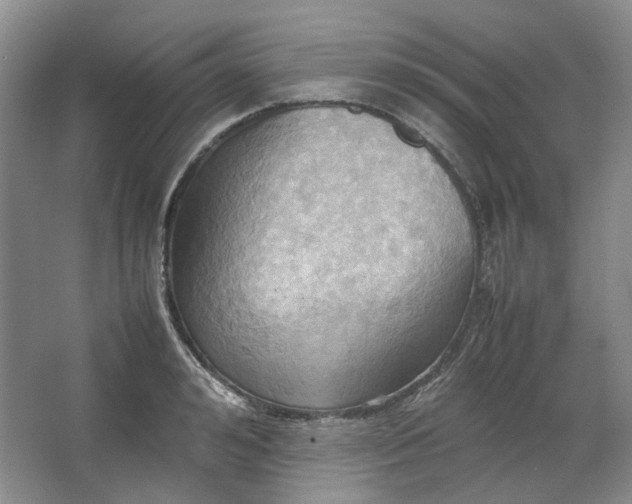 X0000064040992200602101420