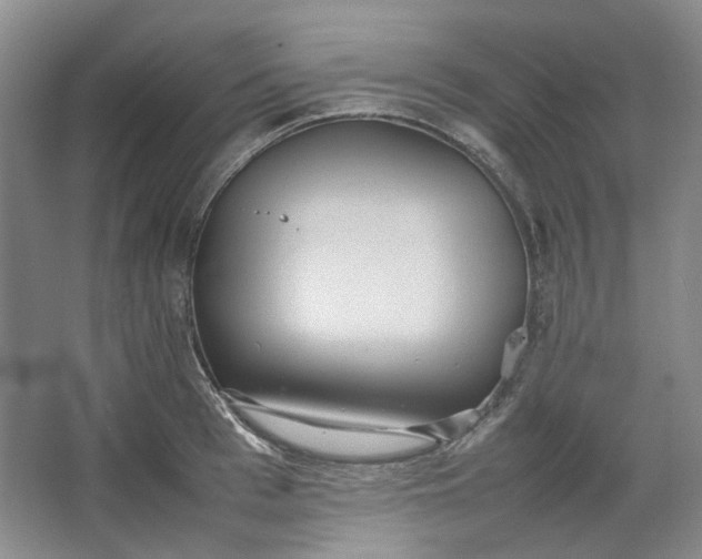 X0000064040993200602101420