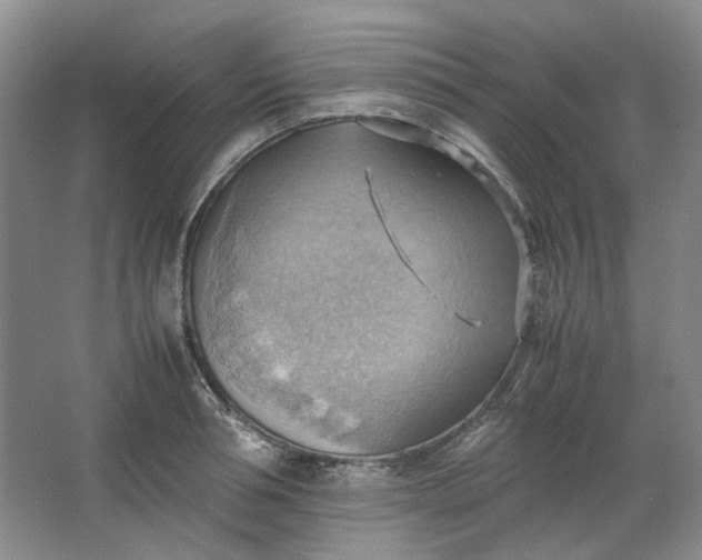 X0000064040994200602101420