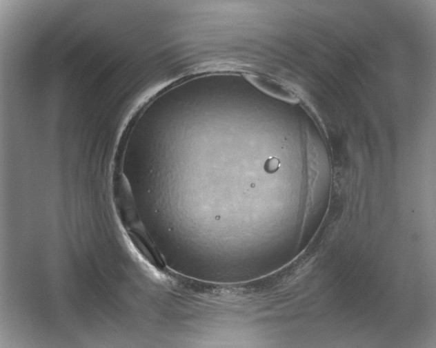 X0000064040995200602101420