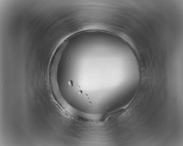 X0000064040996200602101420