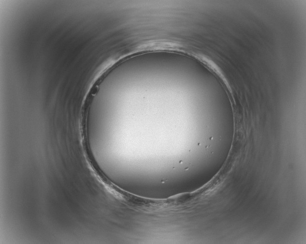 X0000064040997200602101420