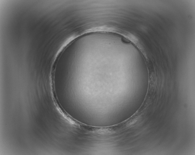 X0000064040998200602101420