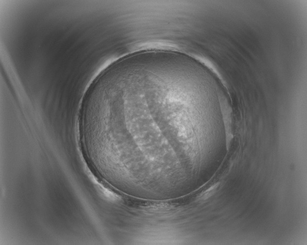 X0000064040999200602101420