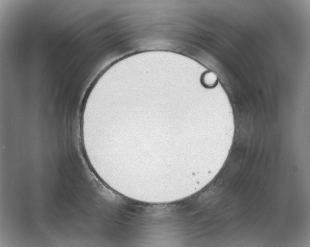 X0000064041000200602101420