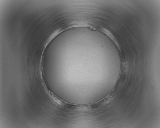 X0000064041002200602101420