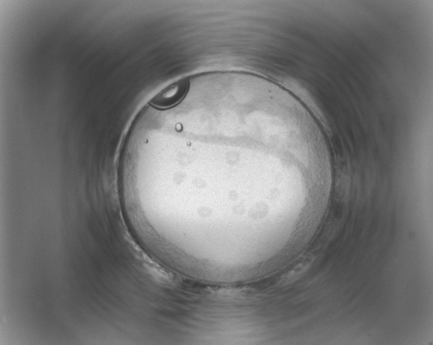 X0000064041004200602101420