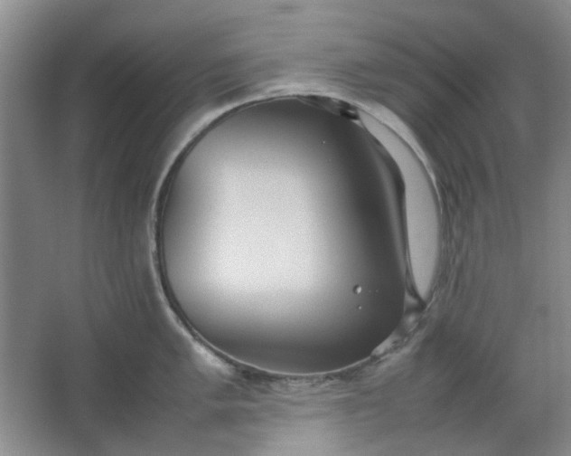 X0000064041005200602101420