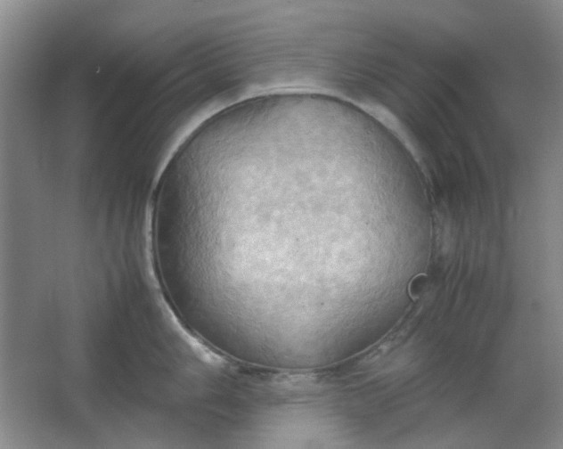 X0000064041006200602101420