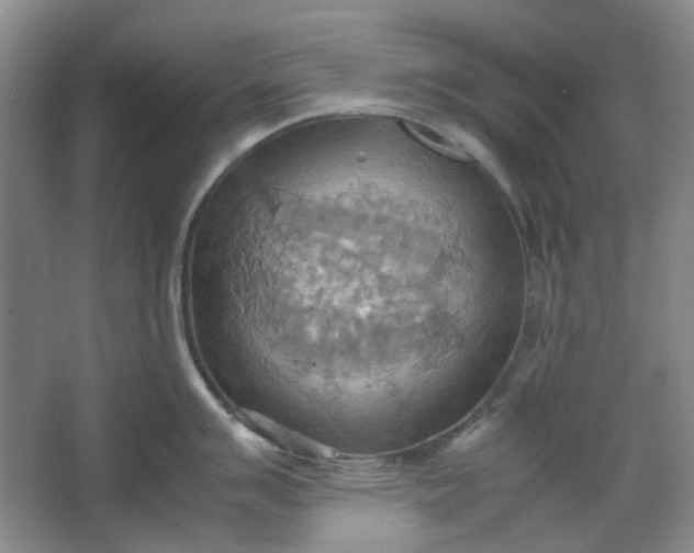 X0000064041007200602101420