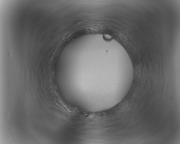 X0000064041009200602101419