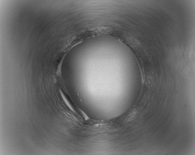 X0000064041010200602101419