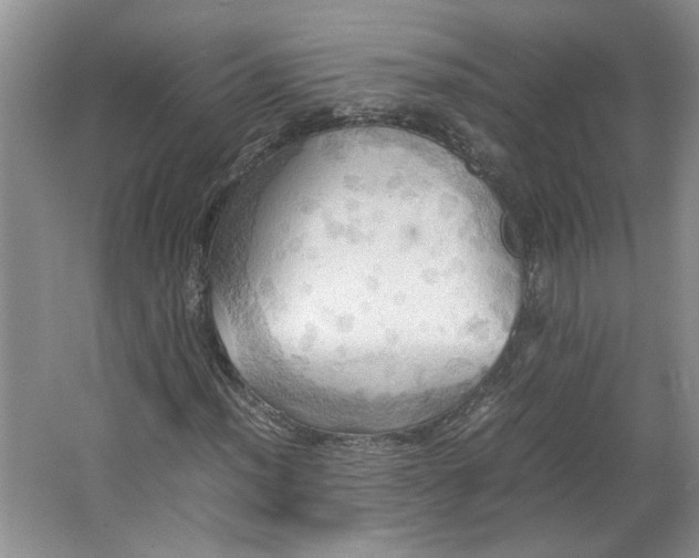 X0000064041012200602101419