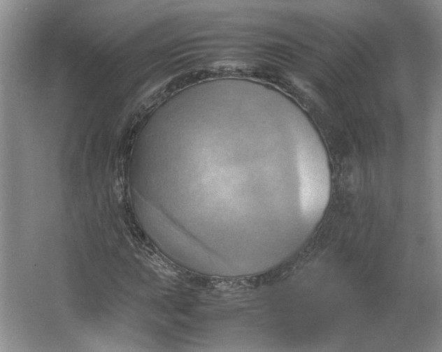 X0000064041015200602101419