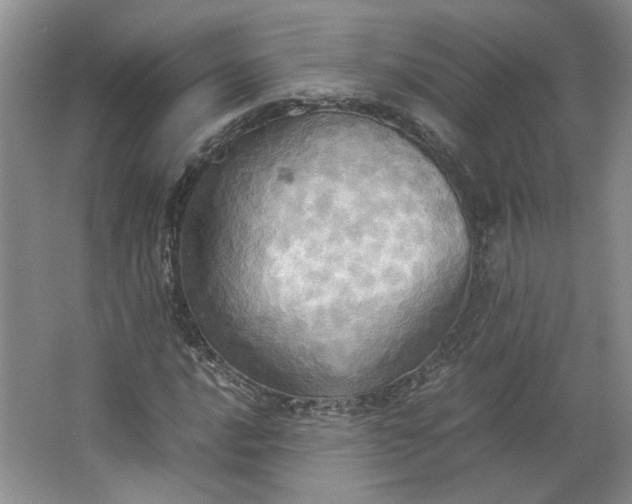 X0000064041016200602101419