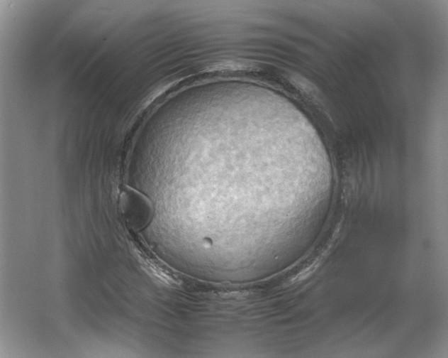 X0000064041017200602101419