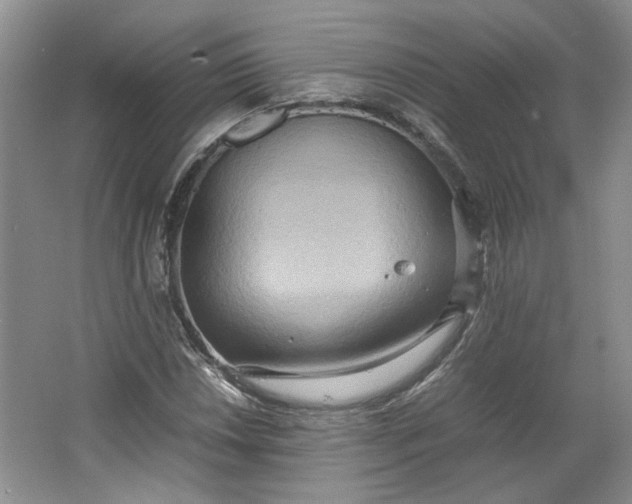 X0000064041018200602101419