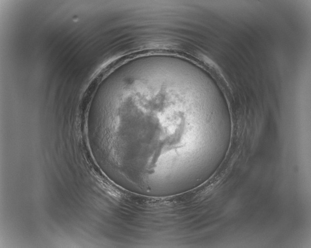 X0000064041019200602101419