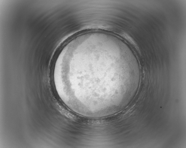 X0000064041020200602101419