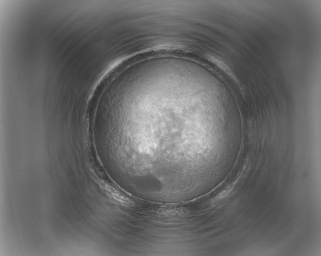 X0000064041021200602101419