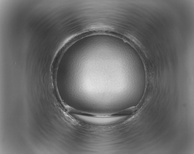 X0000064041022200602101419