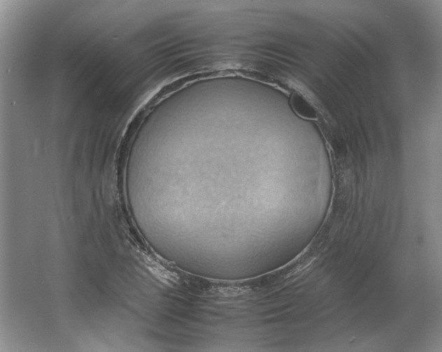 X0000064041023200602101419