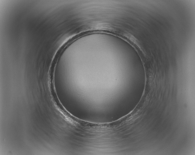 X0000064041024200602101419