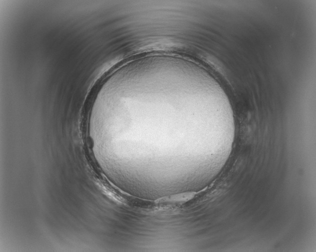 X0000064041026200602101419