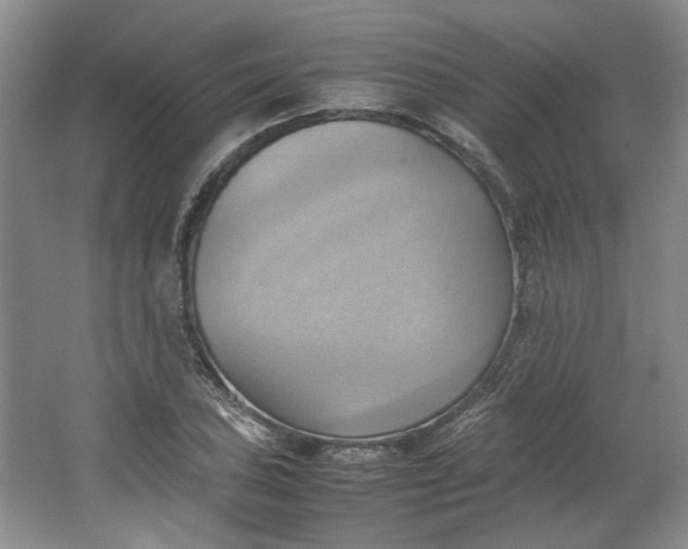 X0000064041027200602101419