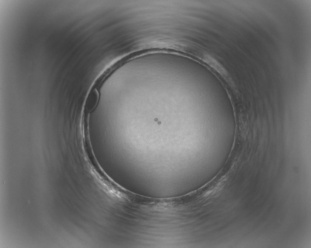 X0000064041028200602101419