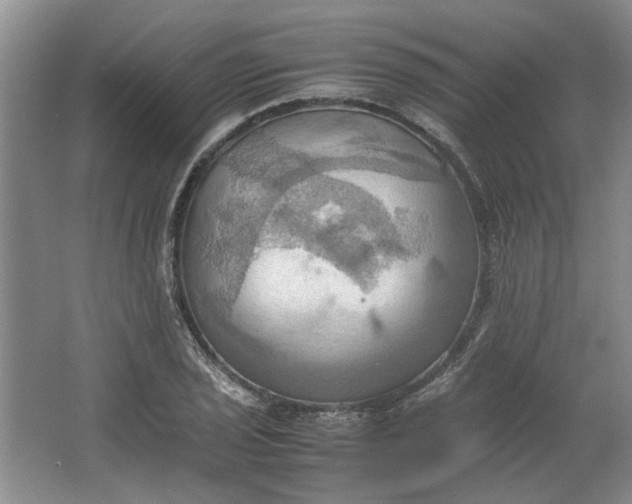 X0000064041029200602101419