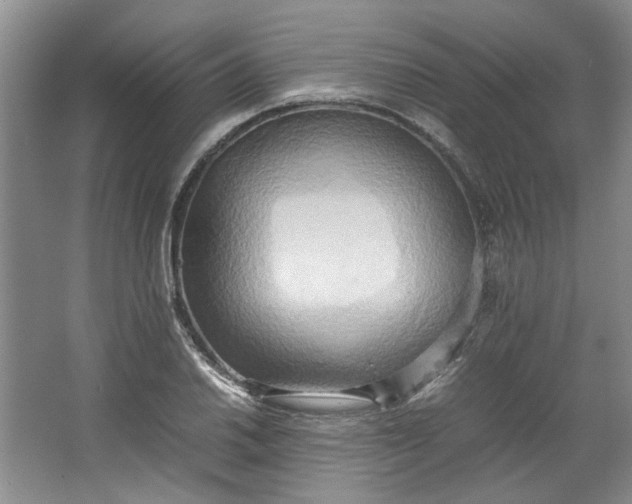 X0000064041030200602101419