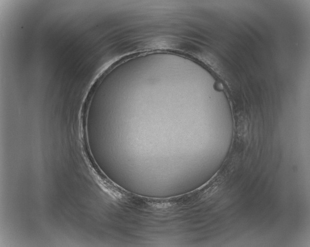 X0000064041031200602101419