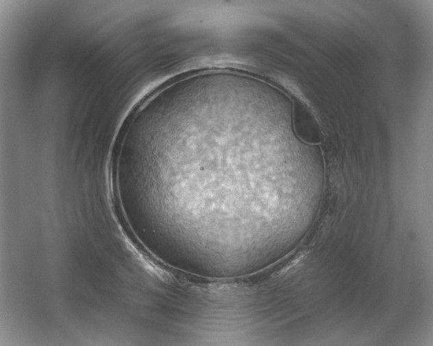 X0000064041032200602101419