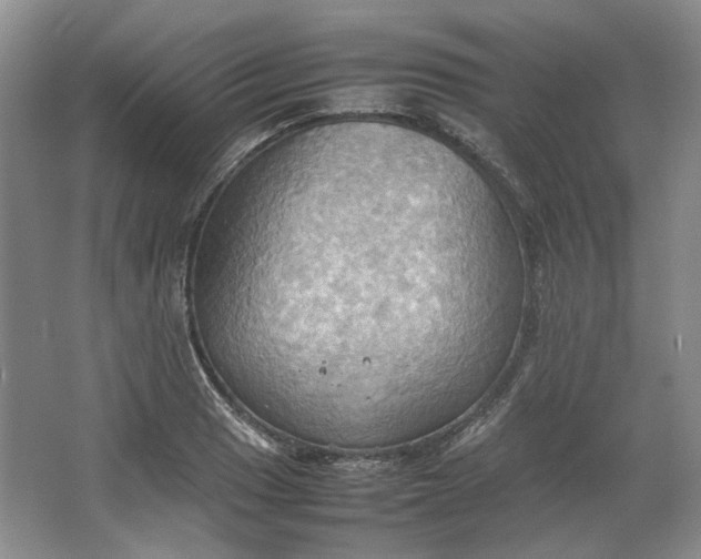 X0000064041033200602101419